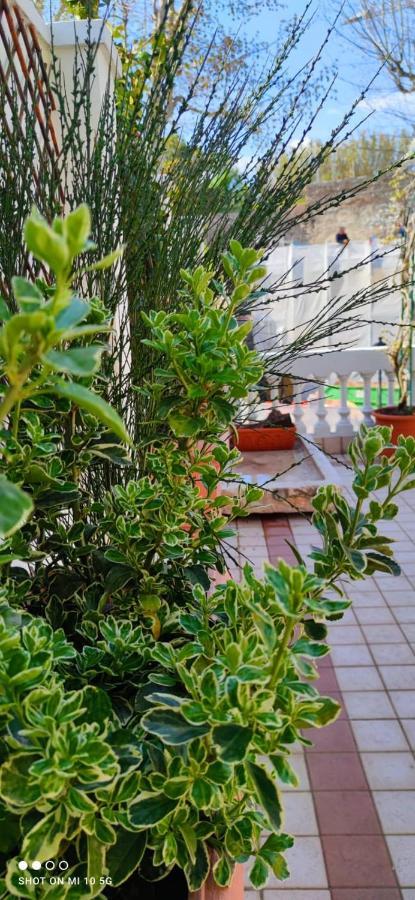 Residenza Porta Brescia Villa Peschiera del Garda Dış mekan fotoğraf